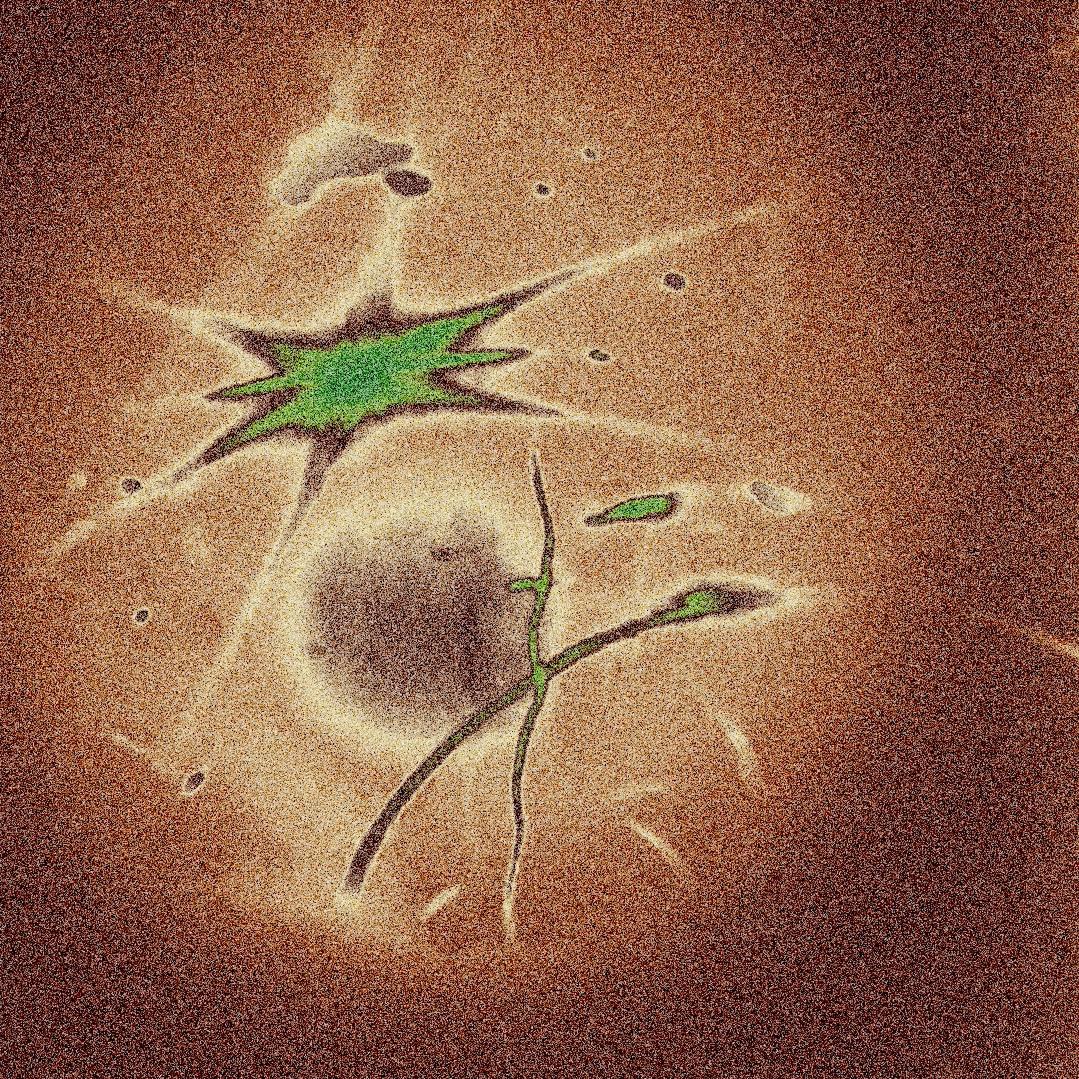 Ace Lavine - DELTA (Sample pack)